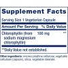 Life Extension Chlorophyllin, antioxidant & DNA Health Support, Gluten-Free, Non-GMO, Vegetarian, 100 Vegetarian Capsules(Standard Packaging)
