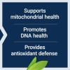 Life Extension Chlorophyllin, antioxidant & DNA Health Support, Gluten-Free, Non-GMO, Vegetarian, 100 Vegetarian Capsules(Standard Packaging)