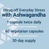 Life Extension Optimized Ashwagandha – Stress Management Supplement for a Healthy Stress Response, Focus, Memory, Stress Relief – Vegetarian, Gluten-Free, Non-GMO, 60 Capsules(Standard Packaging)