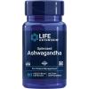 Life Extension Optimized Ashwagandha – Stress Management Supplement for a Healthy Stress Response, Focus, Memory, Stress Relief – Vegetarian, Gluten-Free, Non-GMO, 60 Capsules(Standard Packaging)