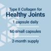 Life Extension NT2 Collagen™, Joint Health Supplement for Joint Comfort & Mobility, Gluten-Free, Non-GMO, 1 Daily, 60 Small Capsules