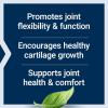Life Extension NT2 Collagen™, Joint Health Supplement for Joint Comfort & Mobility, Gluten-Free, Non-GMO, 1 Daily, 60 Small Capsules