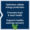Life Extension Optimized Carnitine, Three Forms of L-carnitine, Promotes Heart & Brain Health, Gluten Free, Non-GMO, Vegetarian, 60 Capsules