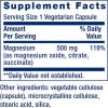 Life Extension Magnesium Caps, 500 mg, Magnesium Oxide, Citrate, and Succinate, Heart Health, Healthy Bones, Metabolism Support, 100 Vegetarian Capsules(100 Count (Pack of 2))