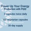Life Extension Mitochondrial Energy Optimizer with PQQ, 180 Vegetarian Capsules(120 Count (Pack of 1))