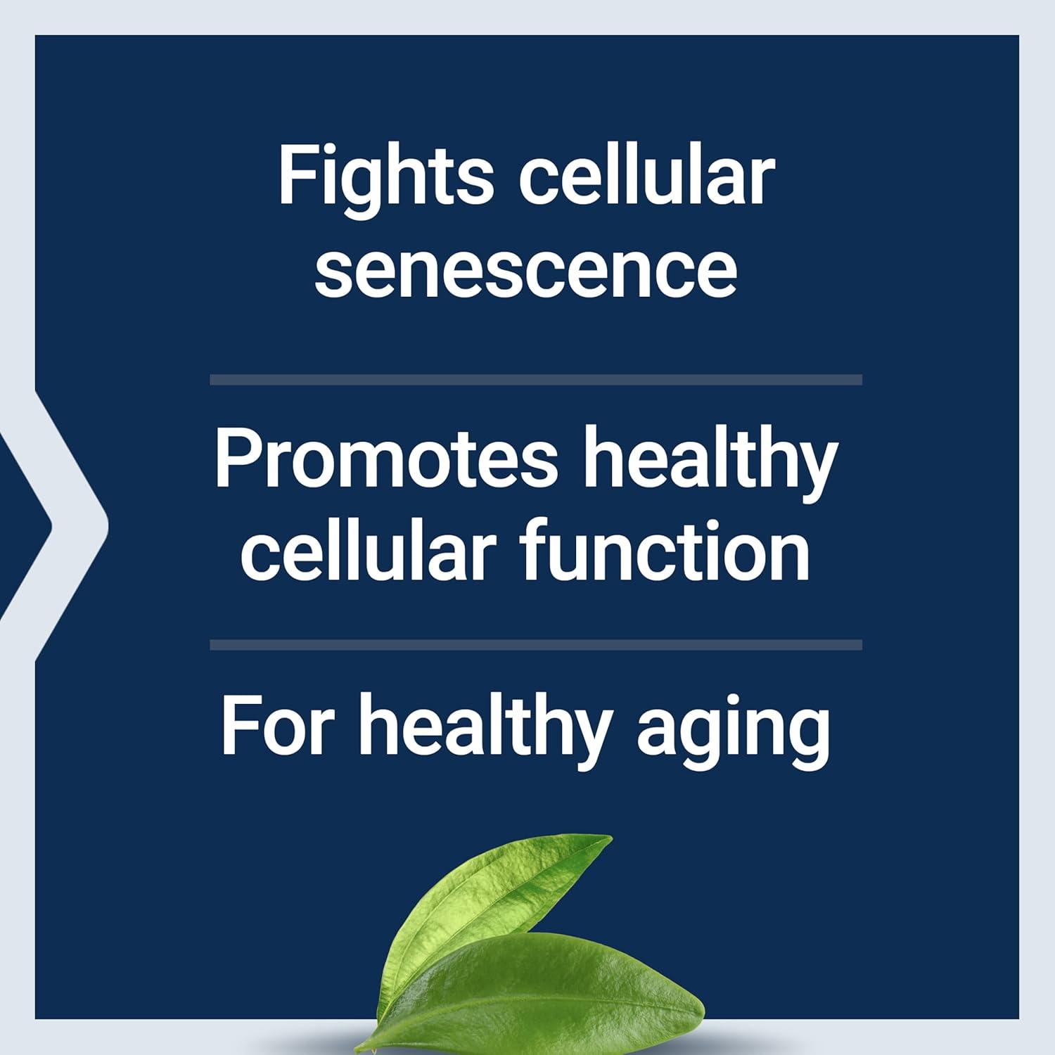 imageLife Extension GEROPROTECT Ageless Cell Cellular Health Healthy Aging Vitamin E NAcetylLcysteine Green Tea Extract myricetin Gluten Free NonGMO 30 softgels