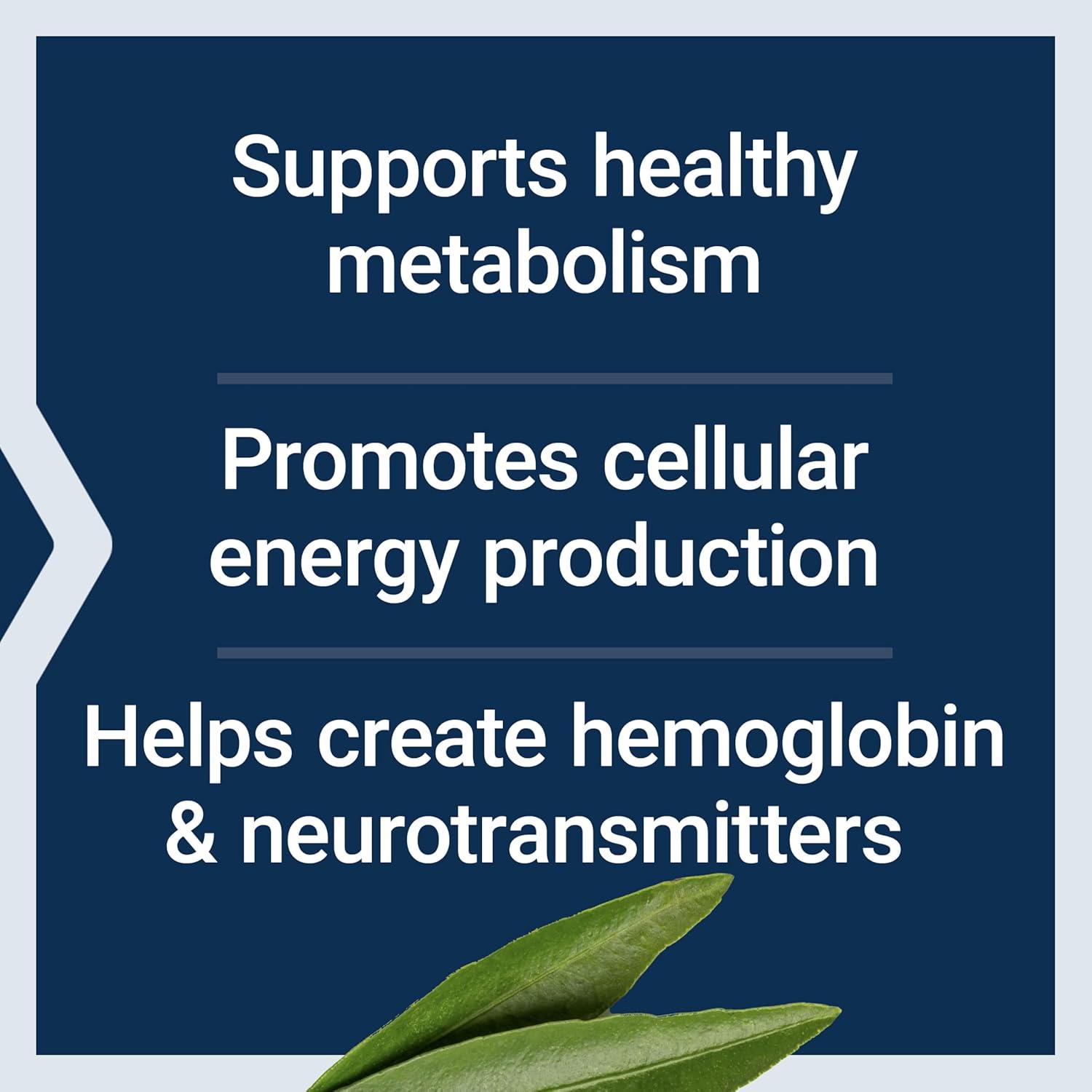 imageLife Extension Pantothenic Acid 500 mg Vitamin B5 Calcium Support Healthy Metabolism Mitochondrial Energy Production GlutenFree NonGMO Vegetarian 100 Capsules