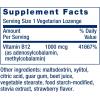 Life Extension B12 Elite, adenosylcobalamin, methylcobalamin, Two Active Forms for Brain Health & Dopamine Production, Non-GMO, Gluten-Free, Vegetarian, 60 lozenges(Vitamin)