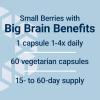 Life Extension Blueberry Extract Capsules, supports cognitive & memory health, helps maintain already-healthy cholesterol levels, fights oxidative stress, gluten-free, non-GMO, vegetarian, 60 capsules(Standard Packaging)