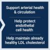 Life Extension Blueberry Extract and Pomegranate, arterial Health Support, antioxidant Defense, Gluten-Free, Non-GMO, Vegetarian, 60 Vegetarian Capsules(Standard Packaging)