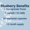 Life Extension Blueberry Extract and Pomegranate, arterial Health Support, antioxidant Defense, Gluten-Free, Non-GMO, Vegetarian, 60 Vegetarian Capsules(Standard Packaging)