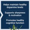 Life Extension Dopamine Advantage, Cognitive Health, Mental Sharpness, Motivation, Vitamin B12, phellodendron bark Powder, Gluten Free, Non-GMO, Vegetarian, 30 Capsules(30 Count (Pack of 1))