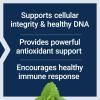 Life Extension X-R Shield, spirulina, Lemon Balm, Ginkgo biloba, Supports Cellular Integrity & DNA Health, Encourages Healthy Immune Response, Gluten-Free, Non-GMO, Vegetarian, 90 Capsules