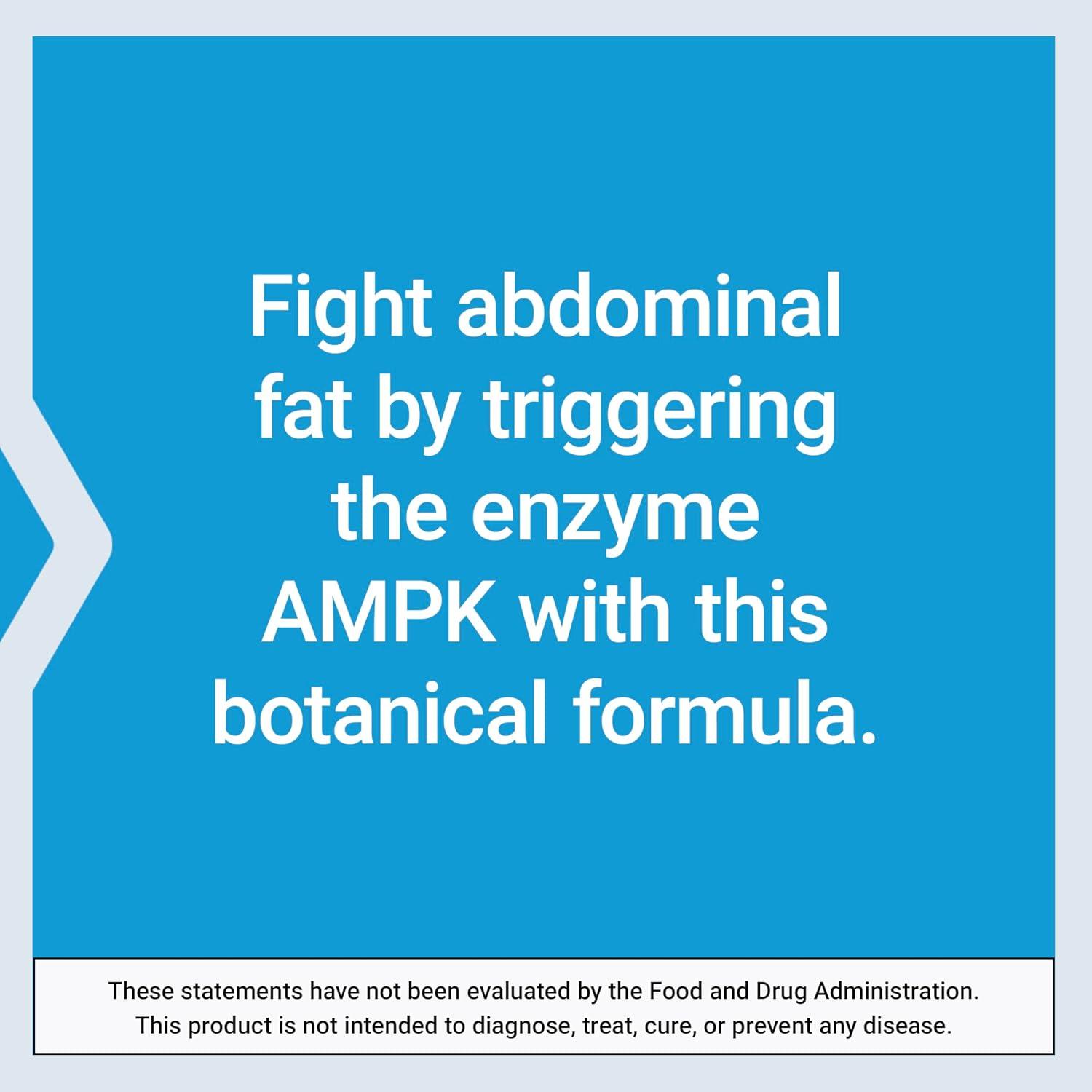 imageLife Extension AMPK Metabolic Activator Hesperidin G pentaphyllum Fight unwanted Belly Fat Target Overall Fat GlutenFree Vegetarian 1Daily NonGMO 30 TabletsActivator