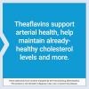 Life Extension Theaflavin Standardized Extract – Tea Leaf Flavonoids, Arterial Health Support, Helps Maintain Already-Heathy Cholesterol – Gluten-Free, Non-GMO, Vegetarian – 30 Capsules(Standard Packaging)