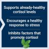 Life Extension Cortisol-Stress Balance, Relora® Magnolia bark, Green Tea, Lychee Extract, Manage Stress, Maintain Healthy cortisol Levels, Gluten Free, Non-GMO, Vegetarian, 1-Daily, 30 Capsules