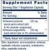 Life Extension Echinacea Elite, E. purpurea, E. angustifolia, Whole-Plant Extract, Immune Support, Dual-extracts, standardized Formula, Gluten Free, Non-GMO, Vegetarian, 60 Capsules