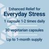 Life Extension Enhanced Stress Relief, Lemon Balm Extract, L-theanine, decompress with This Supplement for Stress, Gluten-Free, Non-GMO, Vegetarian, 30 Capsules
