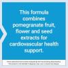 Life Extension Pomegranate Complete, Fruit Extract, Flower, Seed Oil Extract, Cardiovascular Health, antioxidant Support, superfood Supplement, Gluten Free, Non-GMO, 30 softgels(30 Count (Pack of 2))