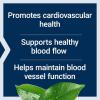 Life Extension Potassium with Extend-Release Magnesium – Heart health supplement for blood pressure support with two essential minerals – Non-GMO, vegetarian, gluten-free – 60 capsules(Unflavored)