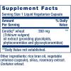 Life Extension Skin Restoring Ceramides* – Wheat Oil Extract – Hydrates & Smooths The Appearance of Fine Lines & Wrinkles – Gluten-Free, Non-GMO, 1-Daily, Vegetarian – 30 Liquid Capsules(Unflavored)