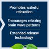 Life Extension Theanine XR™ Stress Relief – L-Theanine – Promotes a Calm Response to Daytime Stress – Non-GMO, Gluten-Free, Vegetarian – 30 Tablets(30 Count (Pack of 1))