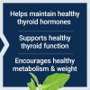 Life Extension Thyroid Support Complex – Thyroid Health Support Supplement with Vitamins A, B, Iodine, Magnesium, L-Tyrosine, Ashwagandha & Ginseng for Energy – Non-GMO, Gluten-Free – 60 Capsules