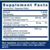 Life Extension Vitamin C 24-Hour Liposomal Hydrogel Formula, 90 Vegetarian Tablets