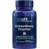 Life Extension Extraordinary Enzymes, Digestive Health Support, Nutrient Absorption, Digestive enzymes, Non-GMO, 60 Capsules(60 Count (Pack of 1))