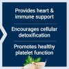 Life Extension Optimized Garlic, standardized Capsules for Heart Health, Immune Support, Cellular detoxification and Healthy platelet Function, Gluten-Free, Non-GMO, Vegetarian, 200 Capsules