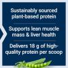 Life Extension Wellness Code® Plant Protein Complete & Amino Acid Complex (Vanilla), Plant-Based Protein Powder Plus branched-Chain Amino acids, Gluten-Free, Non-GMO, Vegetarian, 450 Grams
