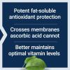 Life Extension Ascorbyl Palmitate 500mg – Fat-Soluble Vitamin C Supplement for Immune Support and Longevity – Water-Soluble Gluten-Free, Non-GMO, Vegetarian – 100 Capsules