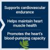 Life Extension Cardio Peak, Cardiovascular Supplement, Heart Health, arjuna, 1-Daily, Gluten Free, Non-GMO, Vegetarian, 30 Capsules
