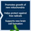 Life Extension Mitochondrial Basics with PQQ, L-Taurine, R-lipoic Acid, foundational Supplement for Cellular Energy Production, Brain and Heart Health, Gluten-Free, Non-GMO, Vegetarian, 30 Capsules(Standard Packaging)