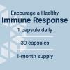 Life Extension Standardized Cistanche, C. tubulosa, Vitamin C, Immune Support, Blood Pressure Support, Cardiovascular Health, Healthy Aging, Gluten Free, Non-GMO, Vegetarian, 30 Capsules