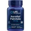 Life Extension Ascorbyl Palmitate 500mg – Fat-Soluble Vitamin C Supplement for Immune Support and Longevity – Water-Soluble Gluten-Free, Non-GMO, Vegetarian – 100 Capsules