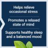 Life Extension GABA, Stress Support, GABA Supplement, Mood Support, Sleep, Relaxation, Gluten-Free, Non-GMO, Vegetarian, 60 Capsules