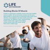 Life Extension Wellness Code Advanced Whey Protein Isolate – Vanilla Flavor -Protein Shake Mix Powder for Muscle Growth & Immune Health Support – Gluten Free, Non-GMO, Sugar Free – 454g – 20 Servings(1 Pound (Pack of 1))