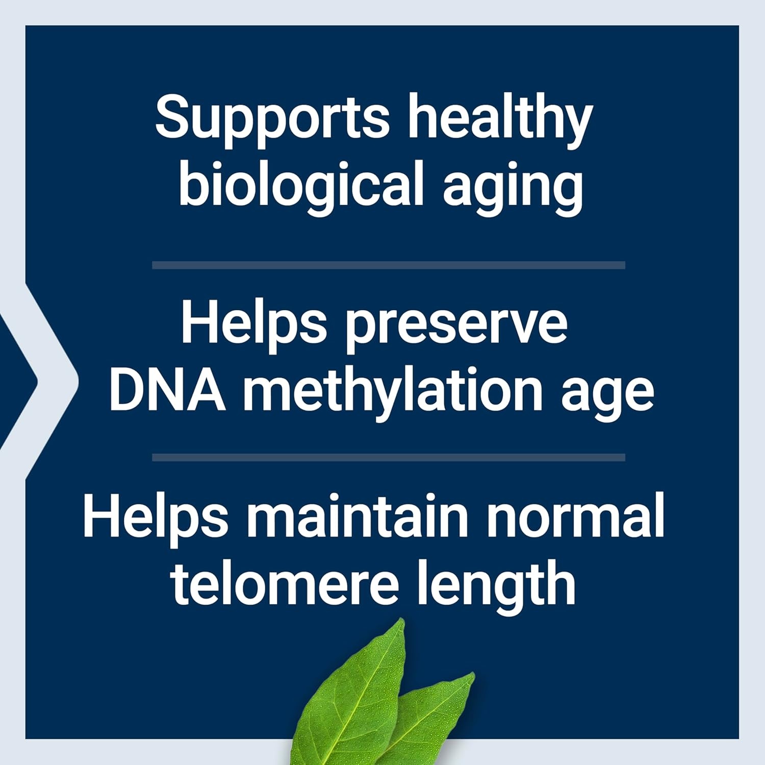 image:imageLife Extension Biological Aging Defense Healthy Aging Support DNA methylation telomere Supplement Scarlet beebalm GlutenFree NonGMO Vegetarian 30 Capsules